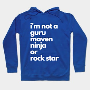 I'm not a guru Hoodie